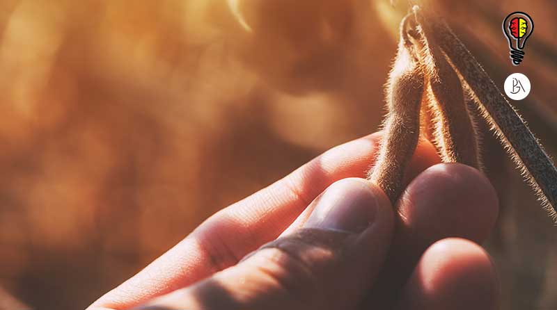 04 - MÓDULO 04 - AMPLIANDO FRONTEIRAS – Dominando os Poderes da Mente