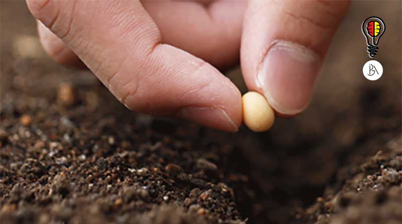 03 - MÓDULO TRÊS – LIGANDO PONTOS – Conectando Novas Informações, Criando Conexões